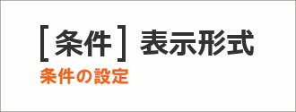 ユーザー定義の表示形式に条件を設定する17