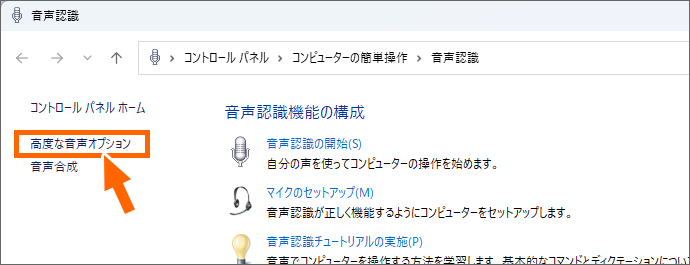 ［高度な音声オプション］