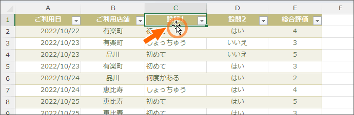 選択したセルを囲む太枠にマウスポインターを合わせる