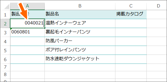 先頭に「0」を付けて入力し直す