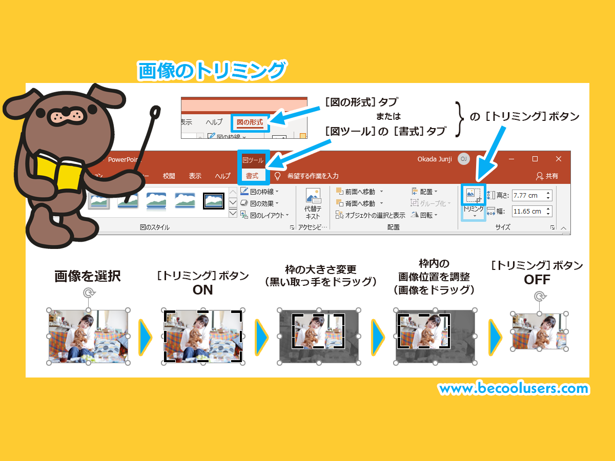 トリミングで画像を切り取り Powerpoint Excel Word共通