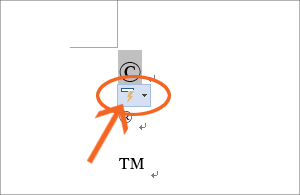 著作権マークや商標登録マークを入力する