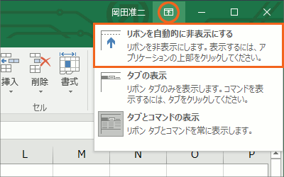 リボンの表示オプション05