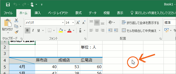 リボンの表示オプション19