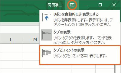 リボンの表示オプション21