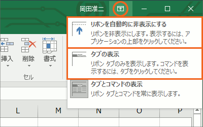 リボンの表示オプション31
