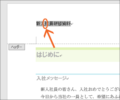 フィールドに文字カーソルを置く
